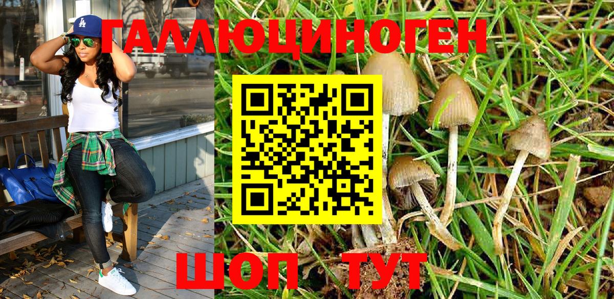 Псилоцибиновые грибы мухоморы Губкин