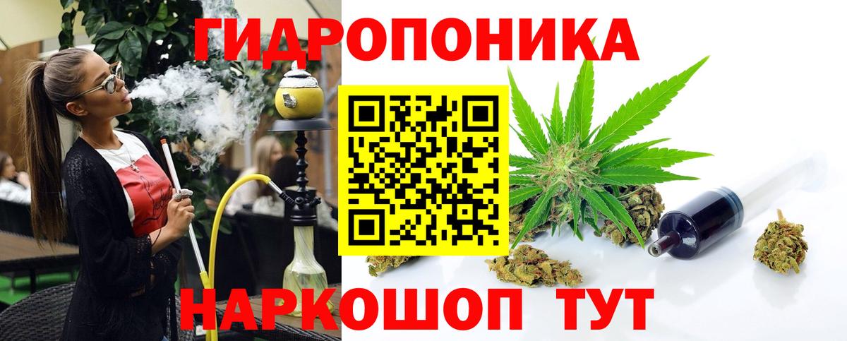 Конопля OG Kush Губкин